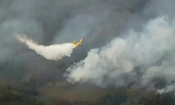 Kebakaran Hutan Meluas di Kanada, Puluhan Ribu Dievakuasi dan Udara Tercemar hingga AS