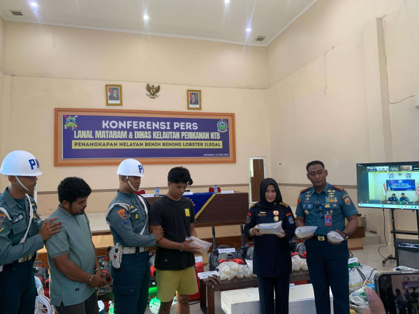 TNI AL Gagalkan Penyelundupan Ribuan Benih Lobster di Perairan Sumbawa