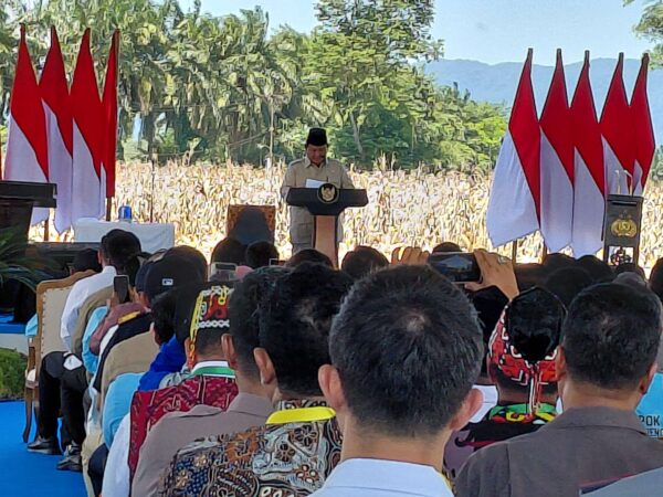 Presiden Prabowo Targetkan Indonesia Stop Impor Jagung Mulai 2026