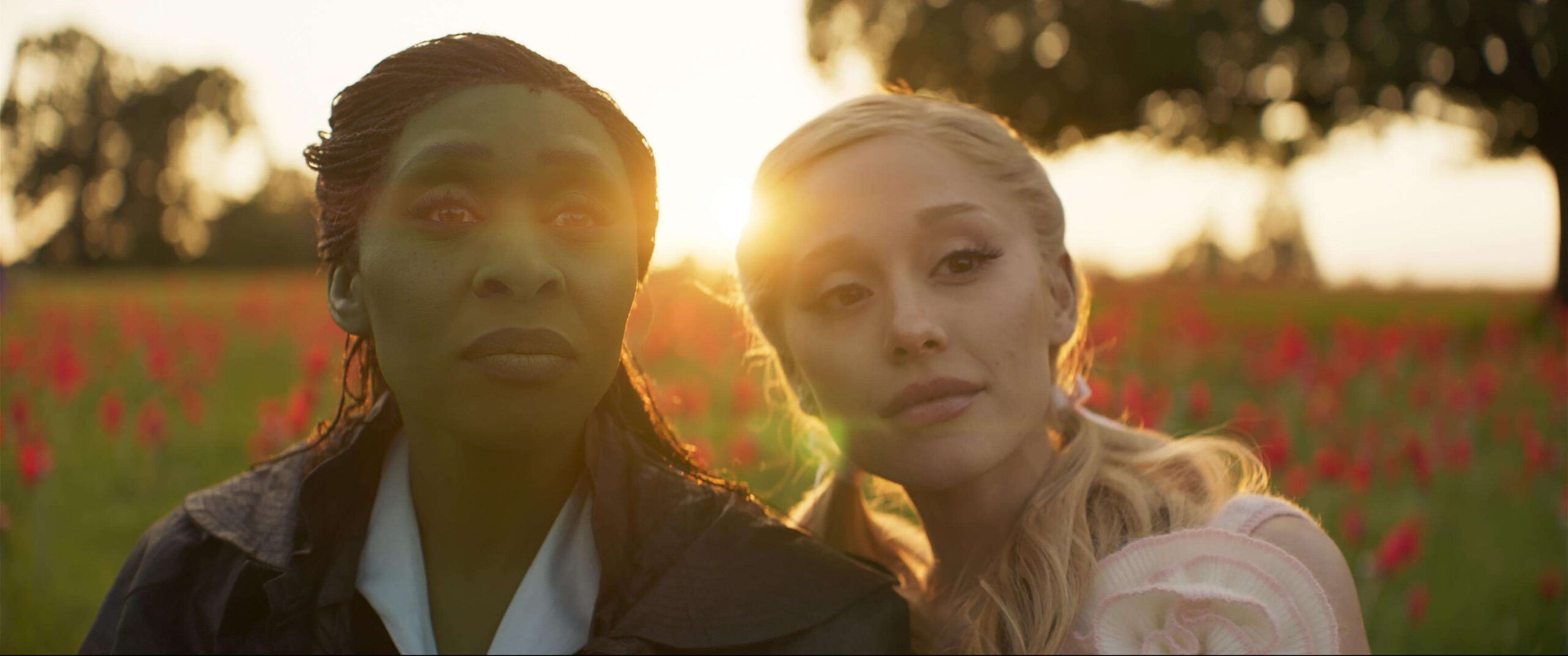 Sinopsis dan Pemeran Film Wicked: For Good, Sekuel Fantasi Musikal yang Penuh Emosi
