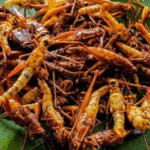 Belalang, Alternatif Sumber Protein MBG: Ini Kandungan dan Manfaatnya