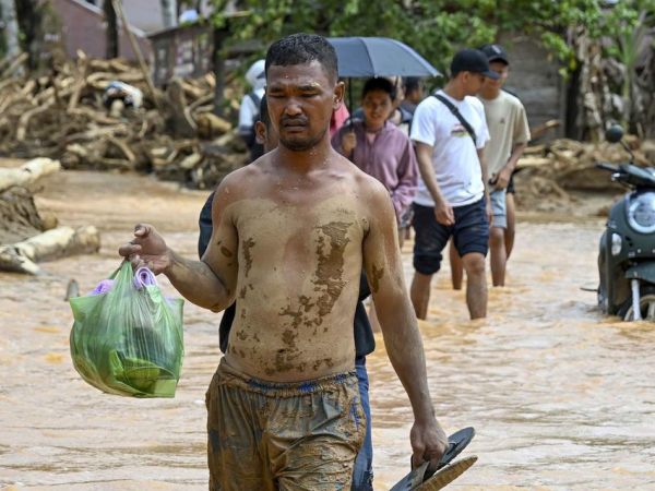 Ide Patungan Beli Hutan Ramai di Media Sosial, PKB Nilai Jadi Kritik Keras bagi Pemerintah